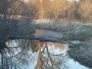 April 25, 2000 looking downstream